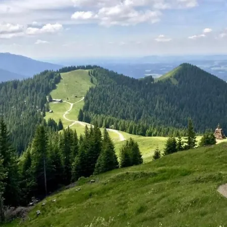 Erlengrund *